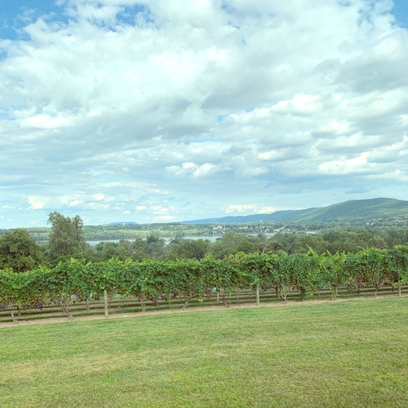 Meet your Posher, Justine - Picture 1 of 1